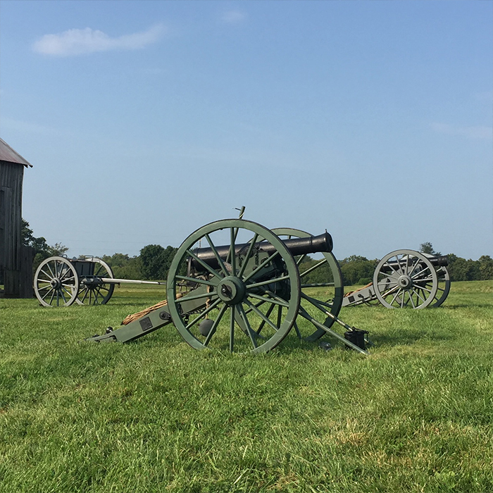 Historic cannon in a field